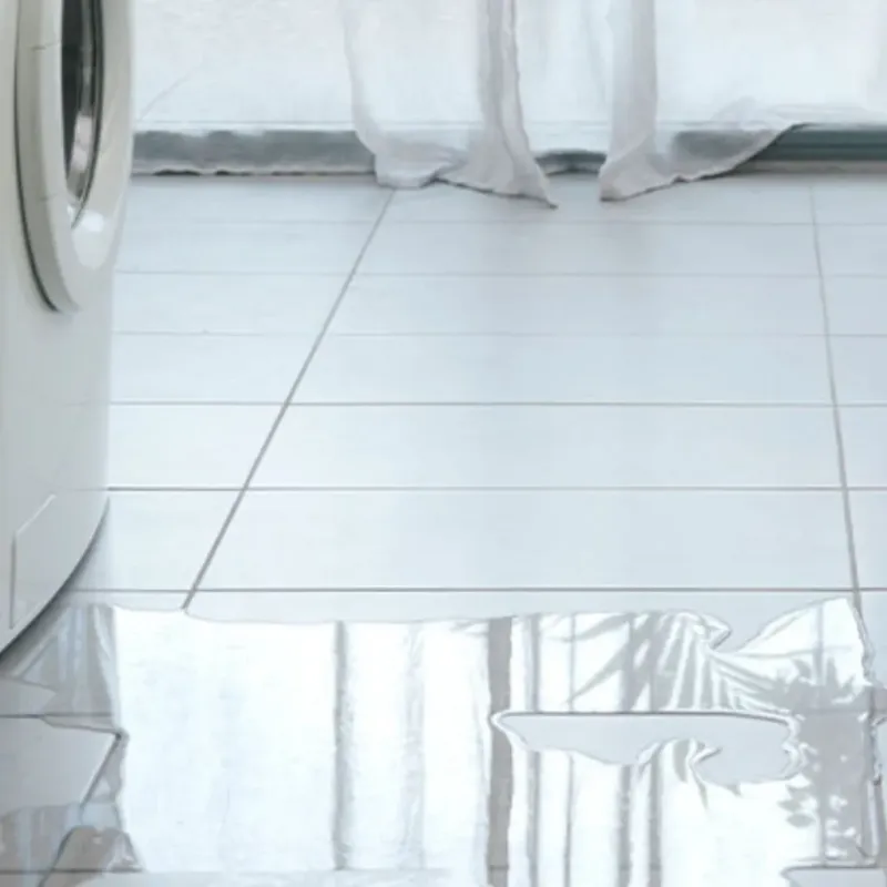 Appliance Leak Cleanup in Soquel, CA